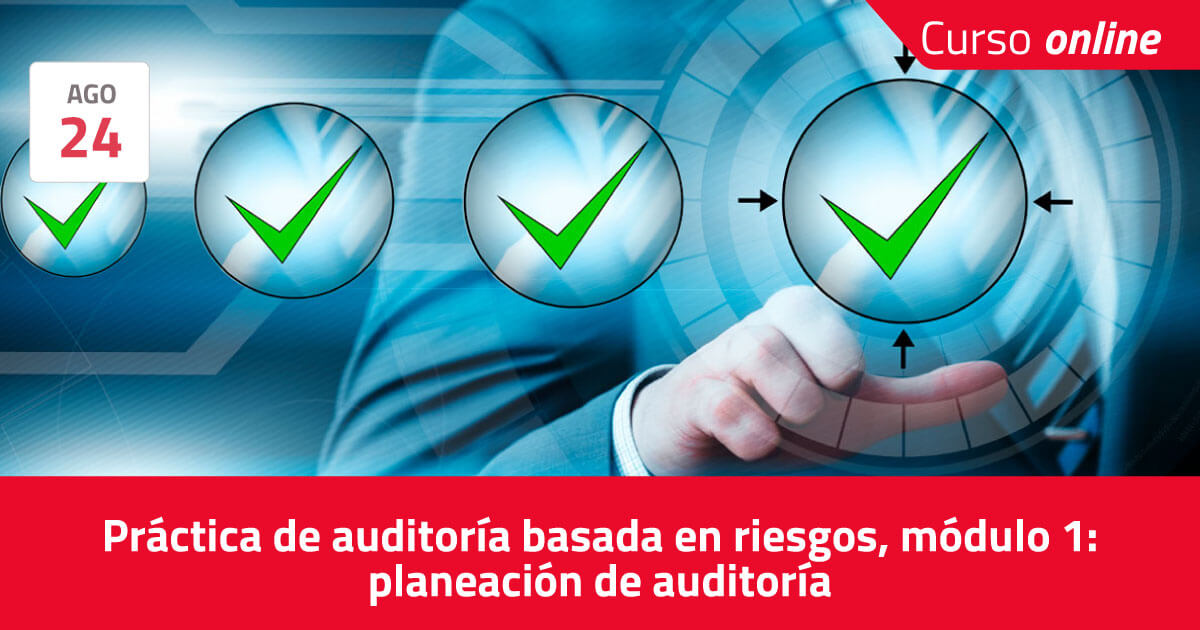 Pr Ctica De Auditor A Basada En Riesgos M Dulo Planeaci N De Auditor A