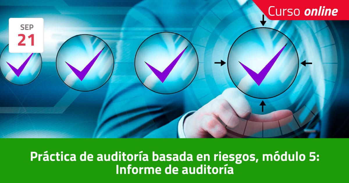 Pr Ctica De Auditor A Basada En Riesgos M Dulo Informe De Auditor A